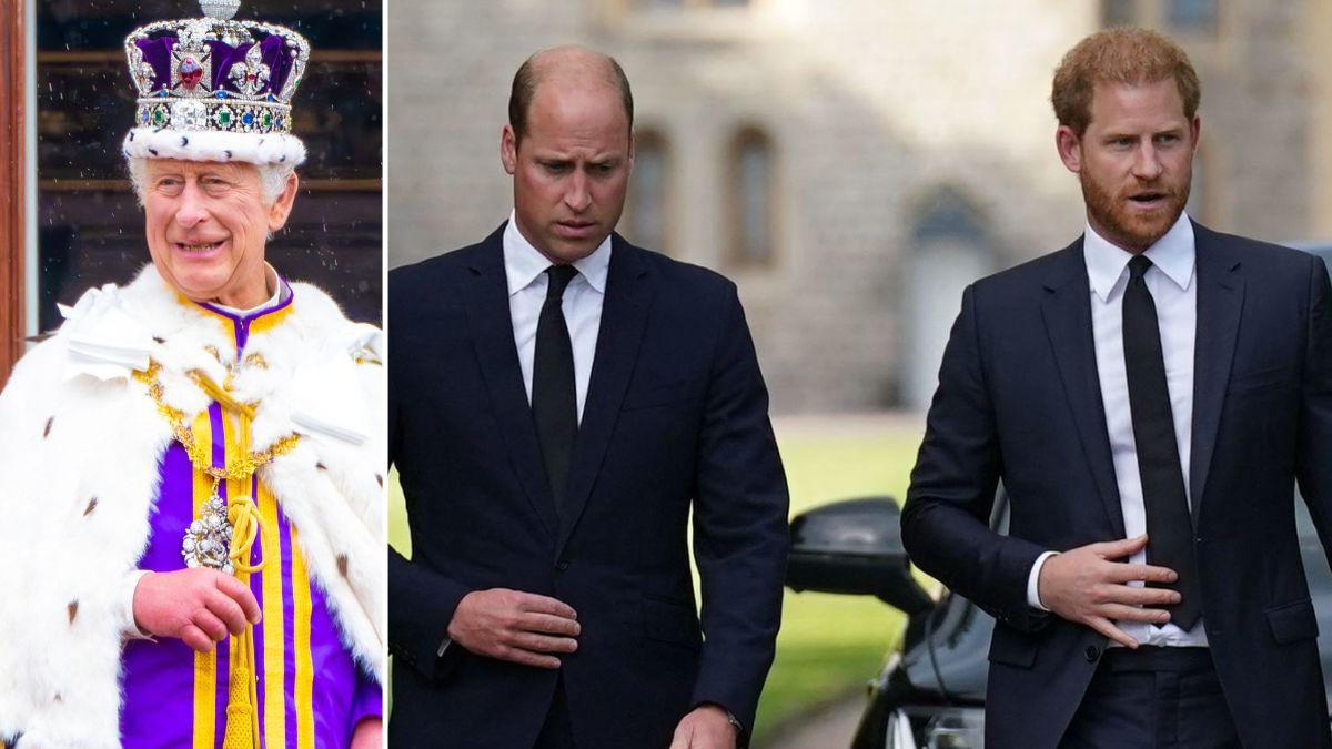 Split photo of King Charles, Princes Harry and William.