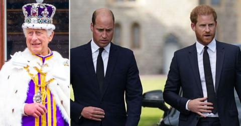 Split photo of King Charles, Princes Harry and William.
