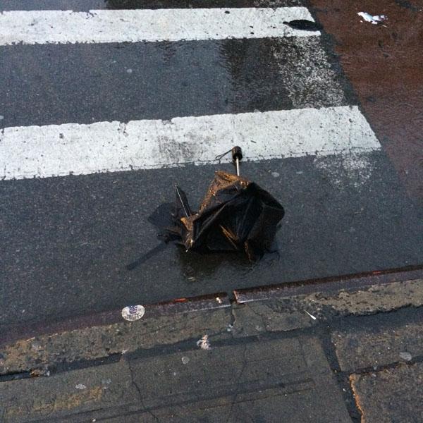 Discarded Umbrella