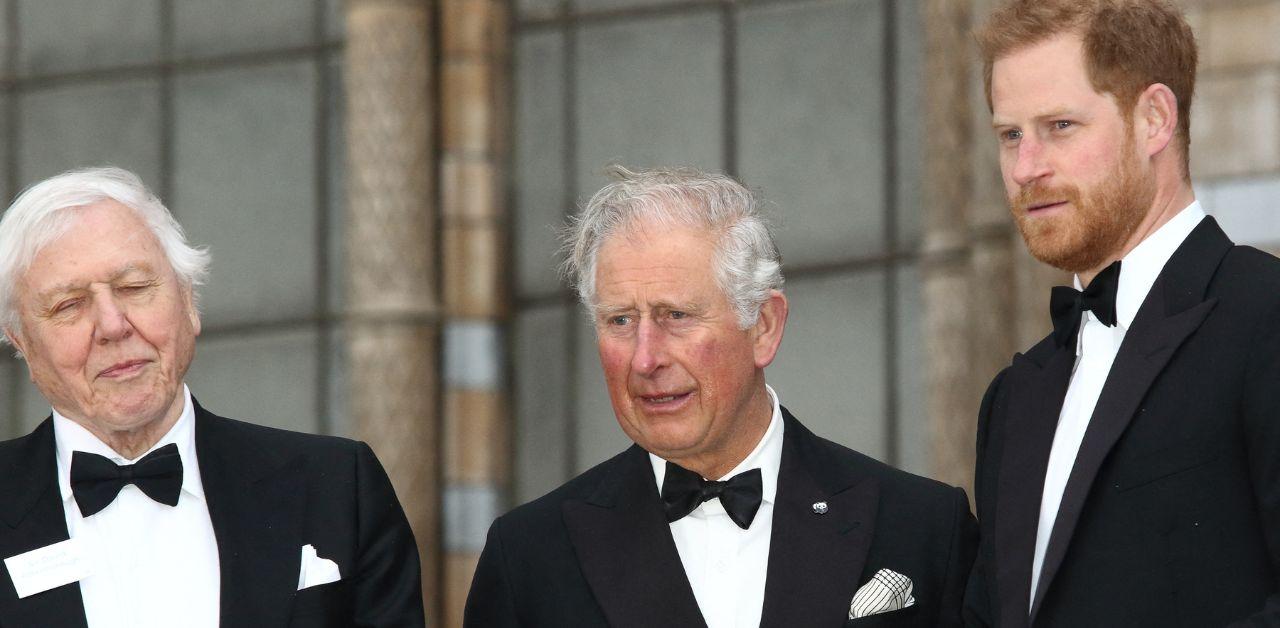 prince harry slammed making king charles diagnosis about him