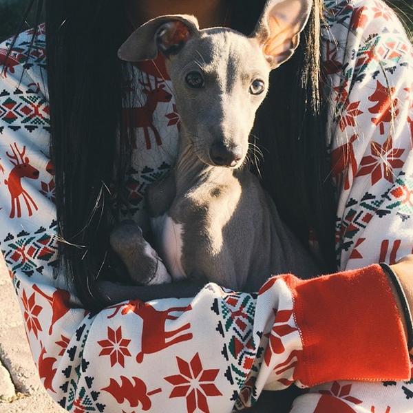 Kylie jenner christmas puppy