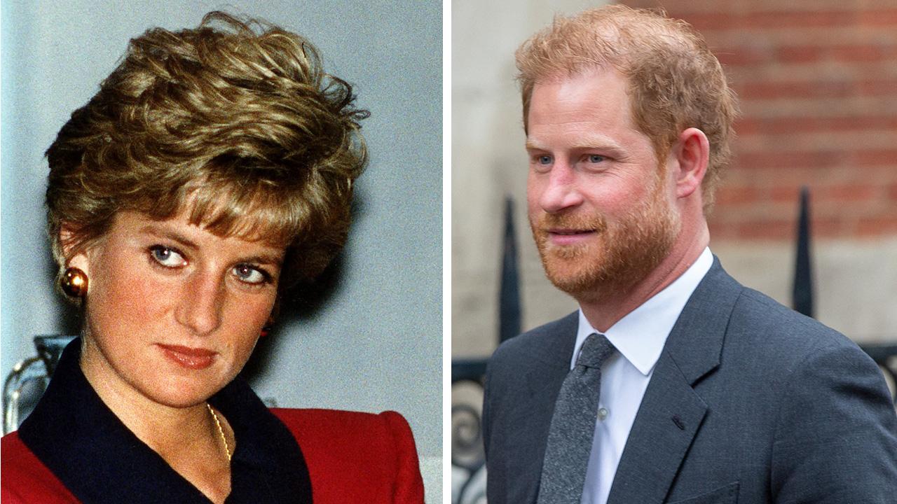 Photo of Princess Diana and Prince Harry