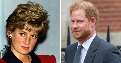 Photo of Princess Diana and Prince Harry