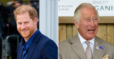 prince harry charles pp