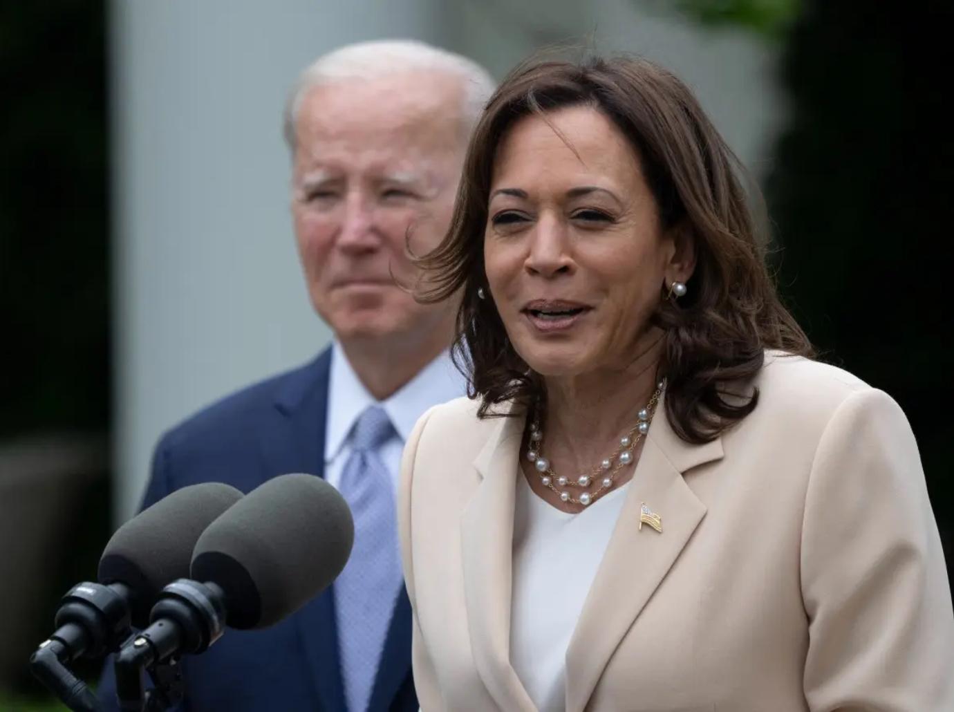 jake tapper kamala is brat harris campaign charli xcx cnn