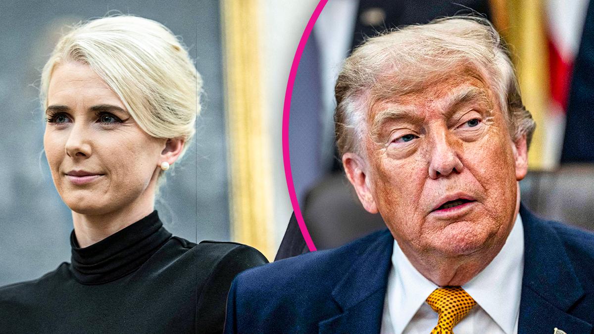 Composite photo of Donald Trump and Natalie Harp.