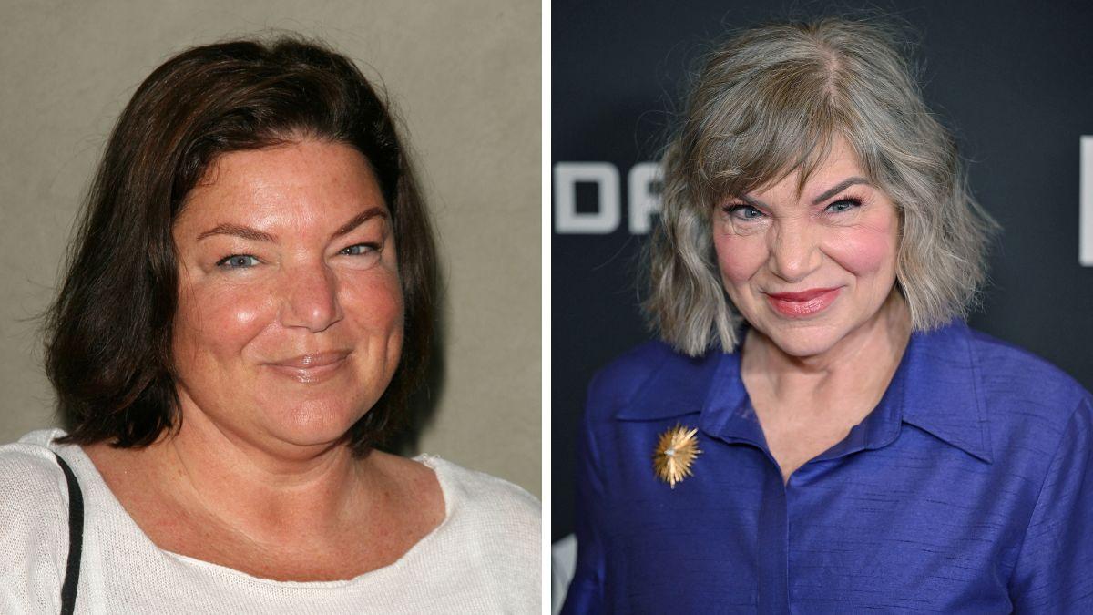 the facts of life cast now