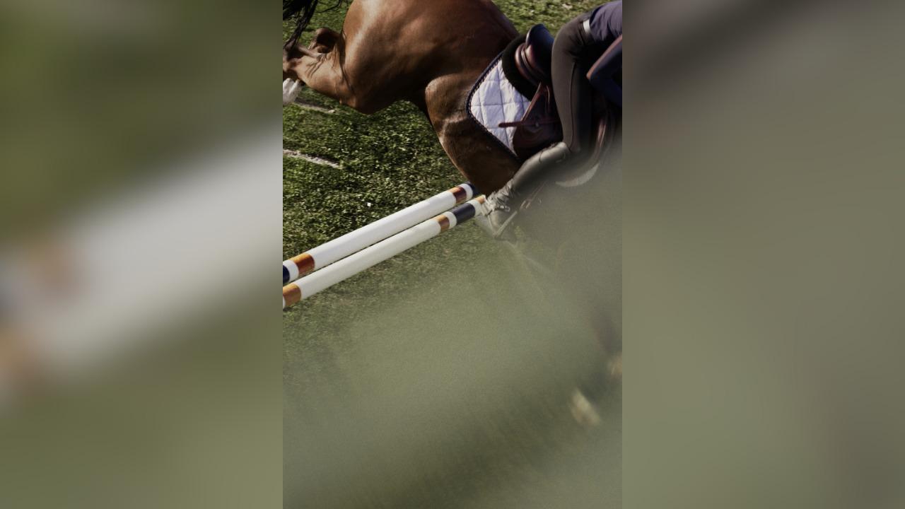 move over courtside showjumping is fast becoming hollywoods glossiest new obsession