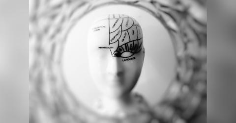 rowan coaching white paperpeople need know about how brain works