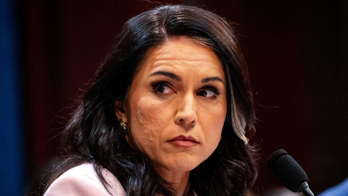 who is tulsi gabbard donald trump intelligence chief resignation