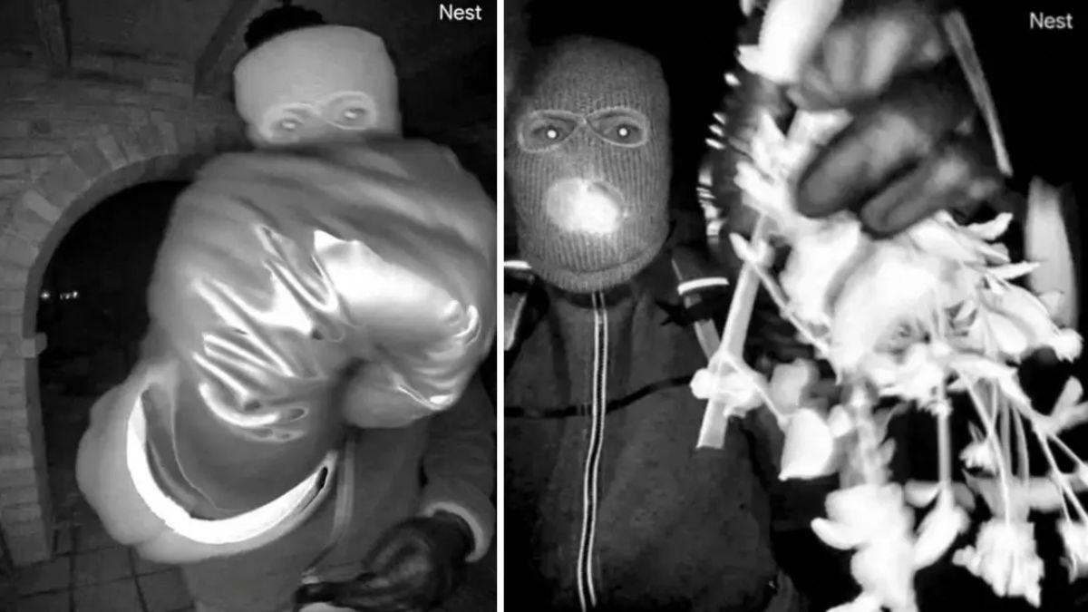 image of New footage shows a masked suspect tampering with Nancy Guthrie's front door camera.