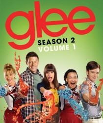 2011__01__okmagazine sweepstakes gleedvd 210×300.jpg