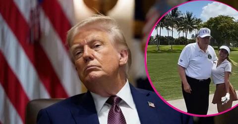 image and inset of Donald trump