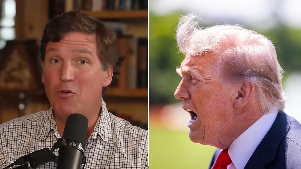 split of Tucker Carlson & Donald Trump. 