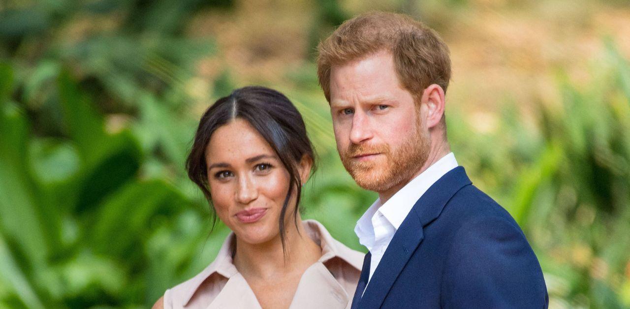 meghan markle prince harry damaged royal family brand