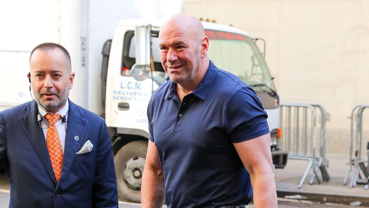 image of dana white