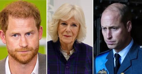 william camilla harry pp