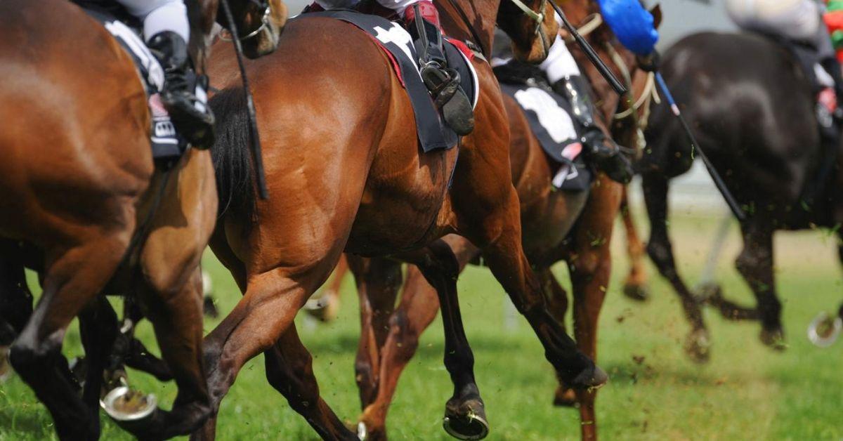 How Betting on Horse Racing in Australia Has Turned Digital