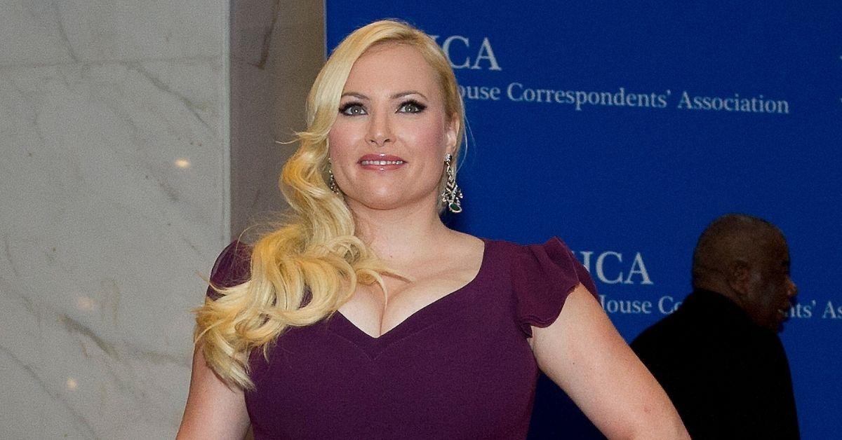 'The View' Cohosts Didn't Want To Work With Meghan McCain Anymore: Source
