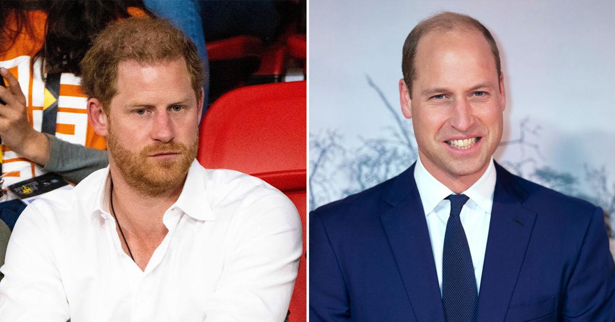 Prince Harry Excluded Stories About Prince William From Book(00)