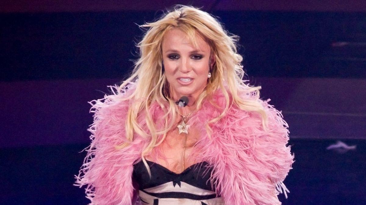 Image of 'I’ll make you food or lasagna or whatever you want,' Britney Spears said to officers.