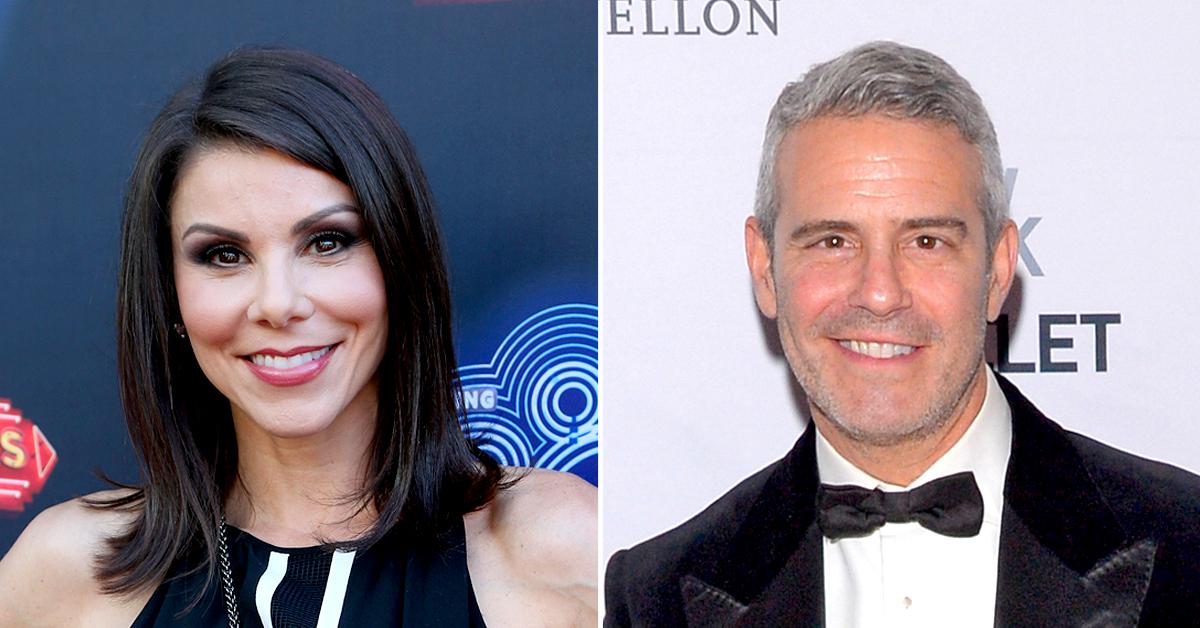 heather dubrow shuts down rumor egg donor andy cohen son ben