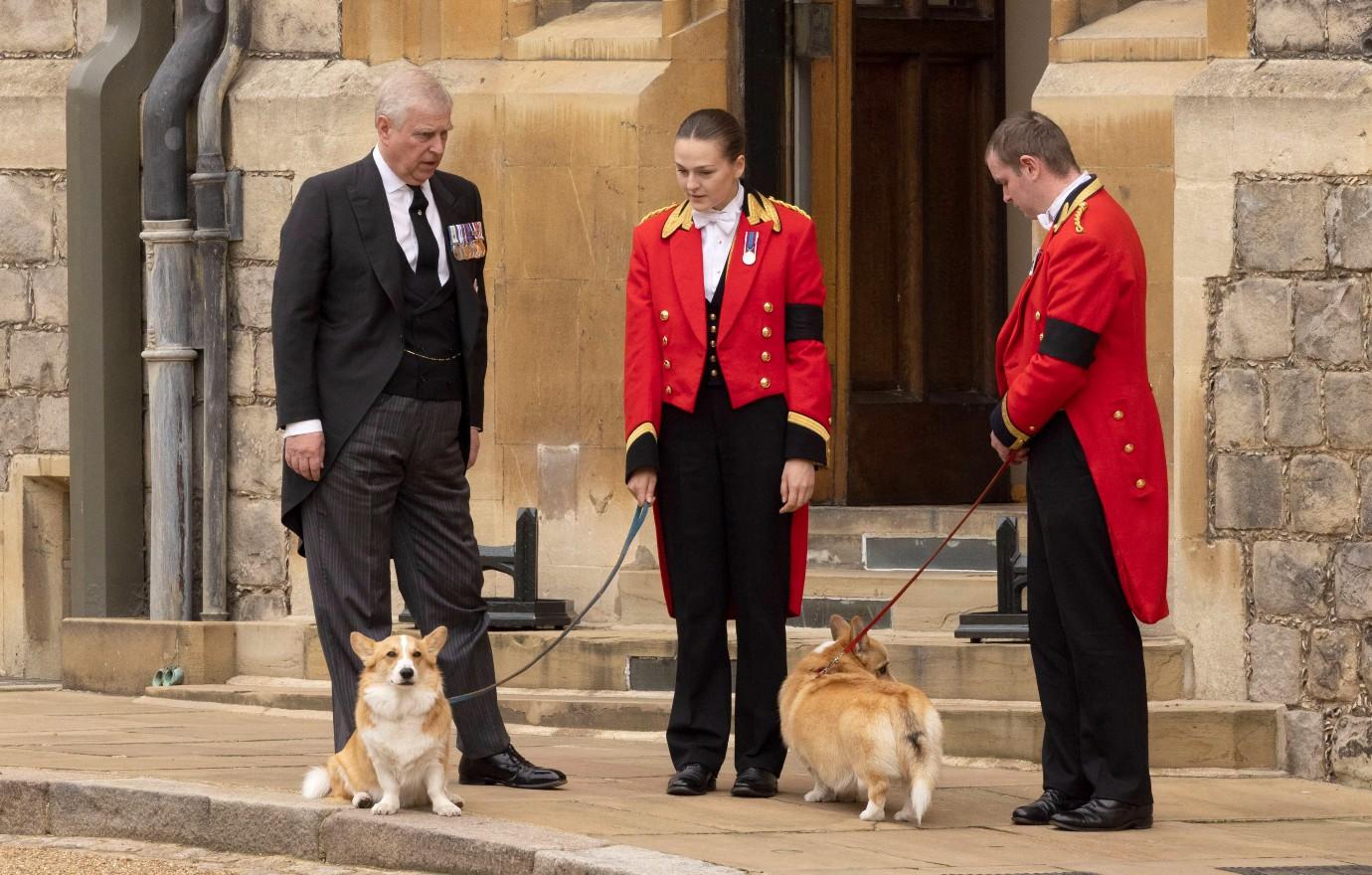 queen elizabeth corgis final hours