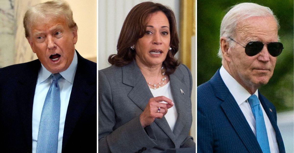 Donald Trump Says Kamala Harris Would Be 'better' Than Joe Biden