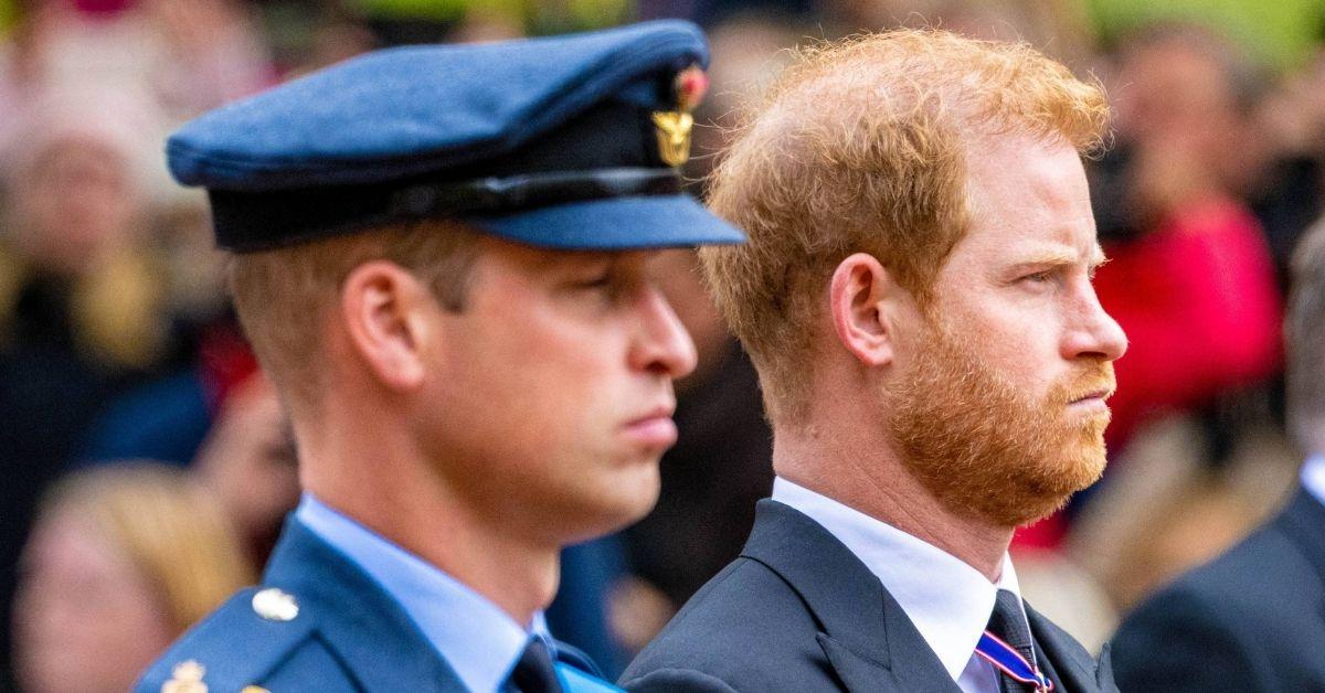 Photo of Prince Harry and Prince William