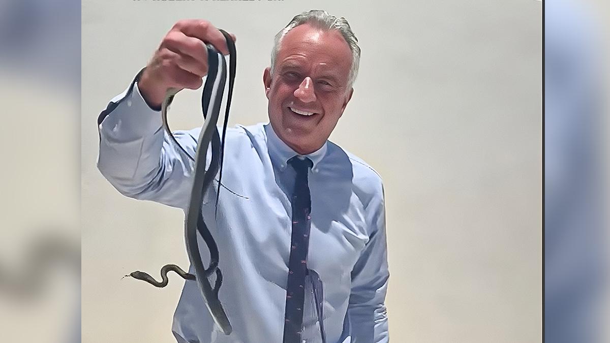 Image of 'He released this snake that had chomped on his hand into the swimming pool,' RFK Jr.'s sister claimed.