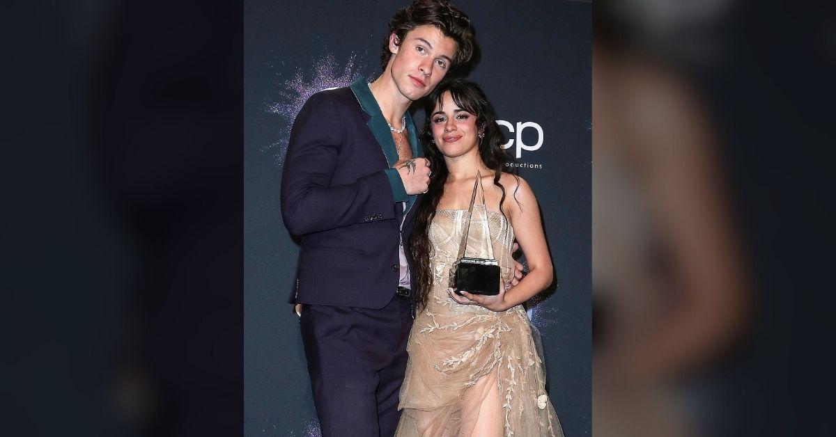 camila cabello strips down underwear at ruisrock music festival