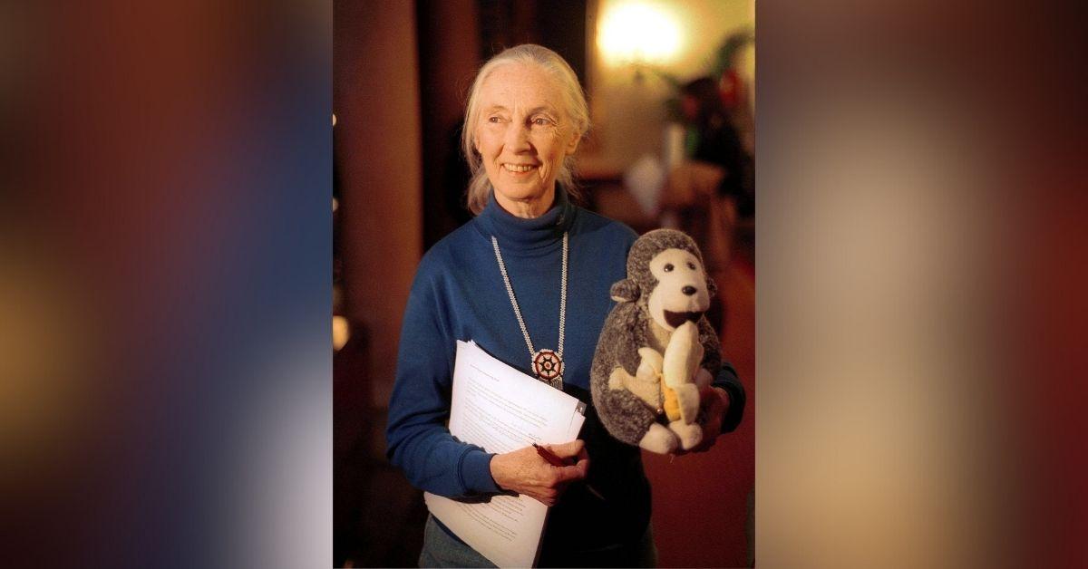 jane goodall life in photos animal welfare activist dead at