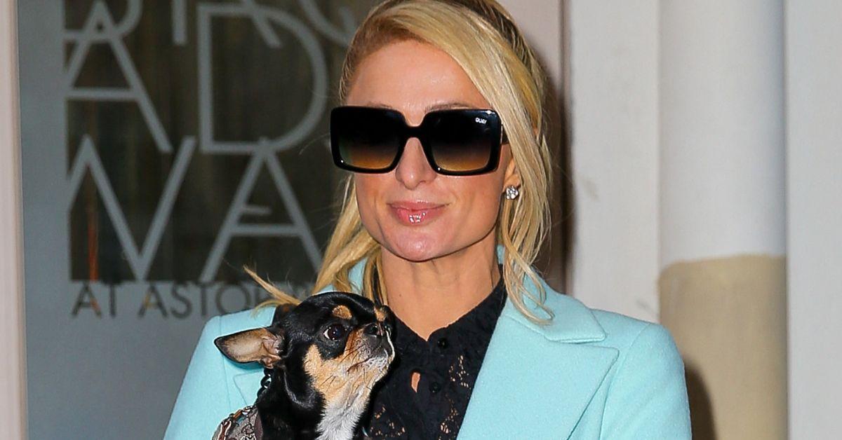 image of Paris Hilton's dog Diamond Baby was cloned.