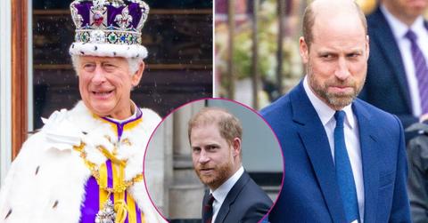 Split photo of King Charles and Princes Harry and William.