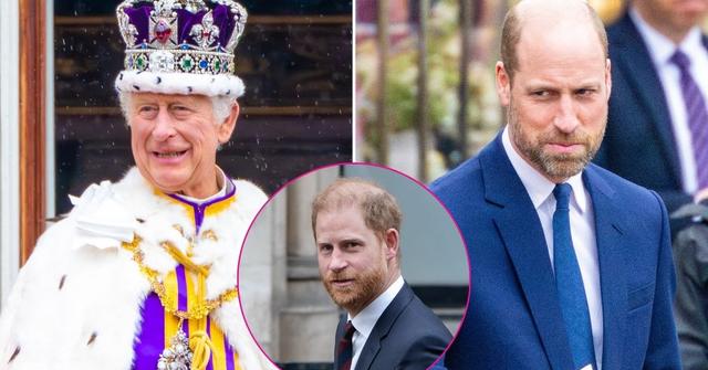 Split photo of King Charles and Princes Harry and William.