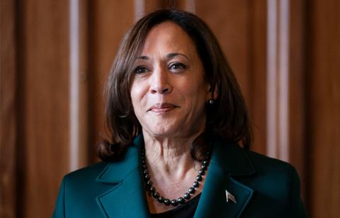 megyn kelly mocks kamala harris remarks unburdened high iq