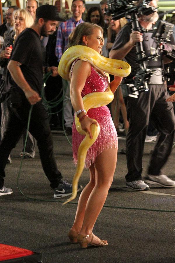 Bindi irwin dwts snake season 21 02