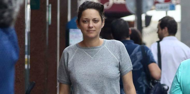 Angelina jolie divorce brad pitt rumor affair Marion Cotillard h