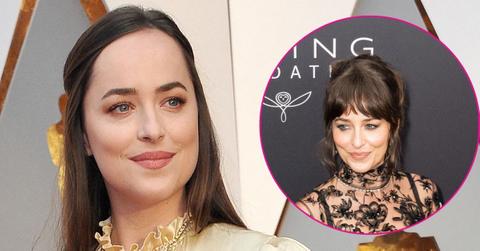 dakota johnson see through dress