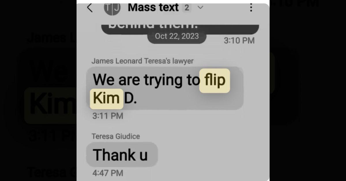 Photo of alleged text message with Teresa Giudice and James Leonard