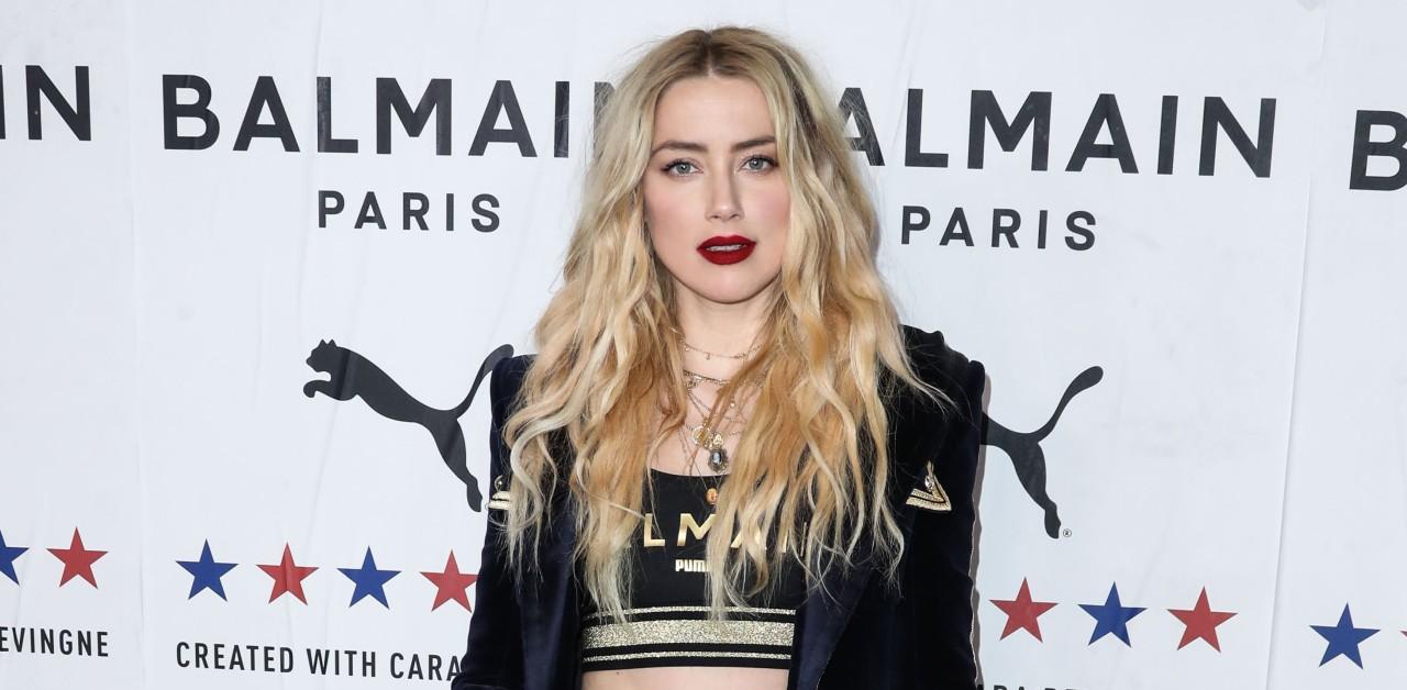 Amber Heard's 'My Dog Stepped On A Bee' Quote Ridiculed On TikTok