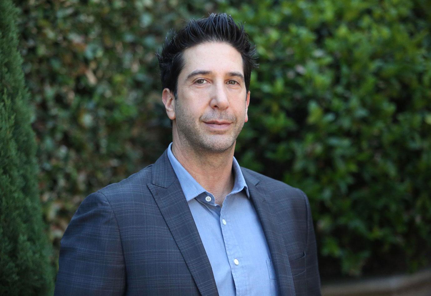 david schwimmer