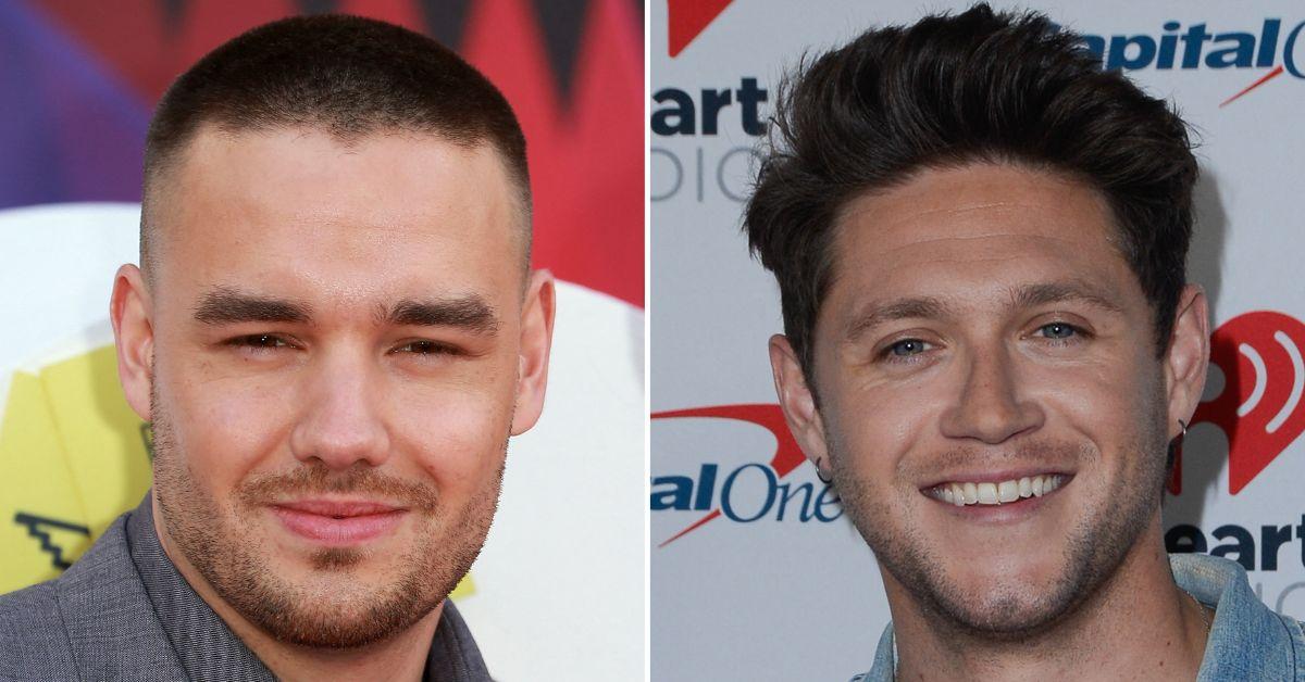 Composite photo of Liam Payne and Niall Horan. 