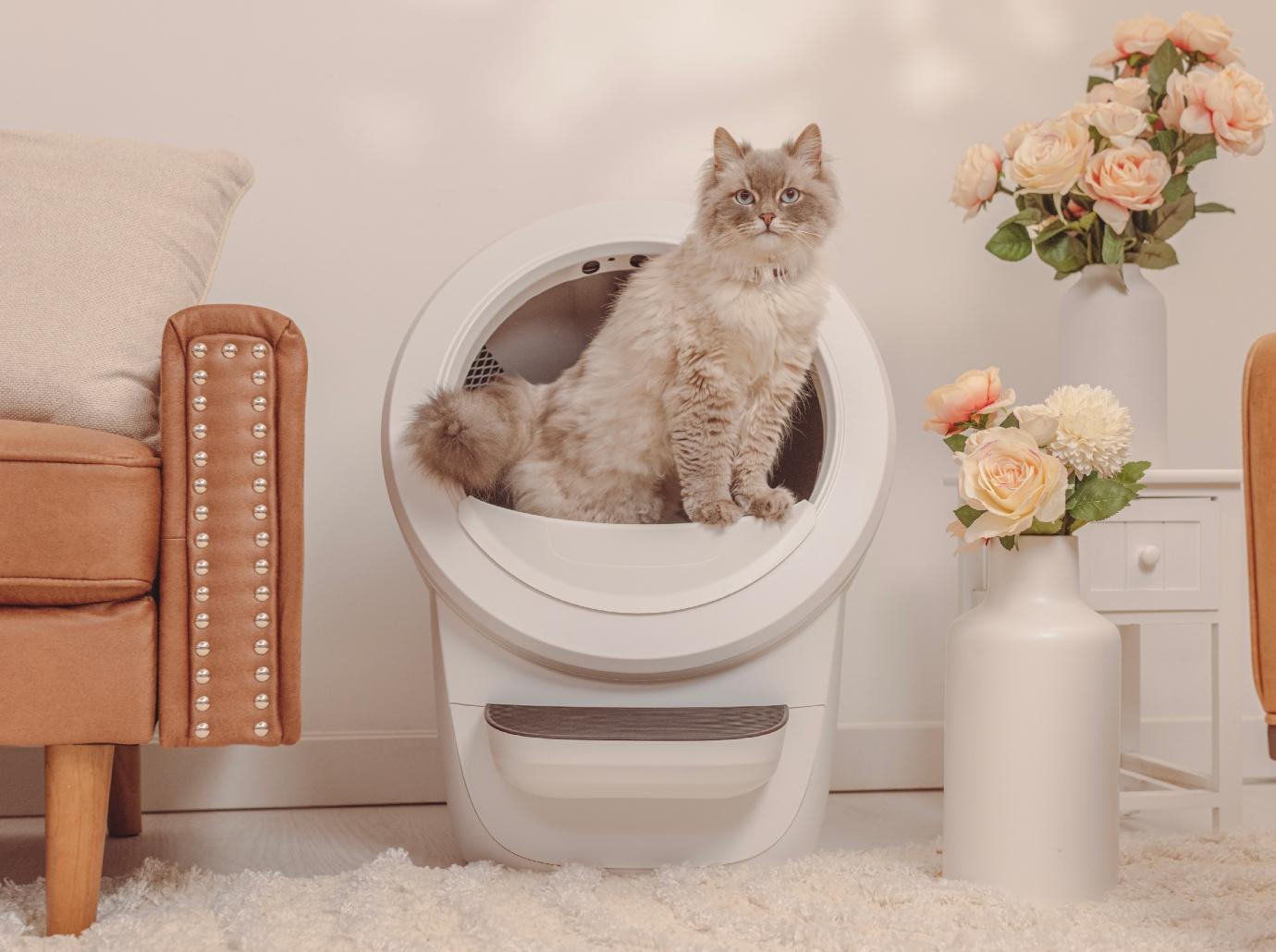 litter robot