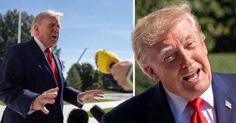 Image of Donald Trump.