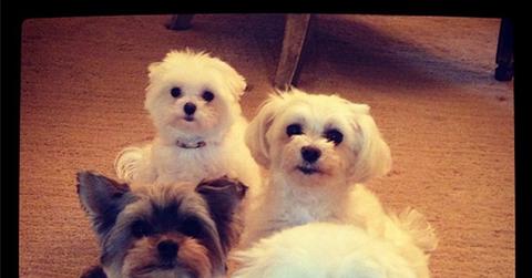 Danielle and Kevin Jonas