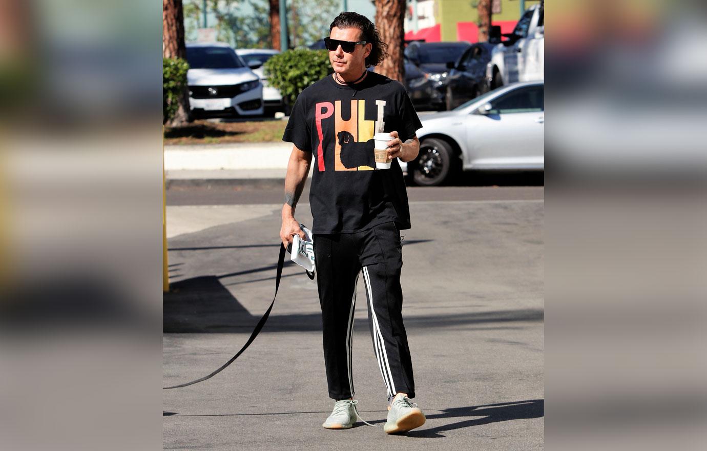 gavin rossdale spotted walking dog los angeles sparking fan concern canceling tour