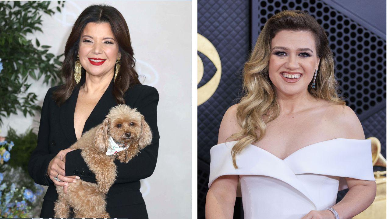 Image of Ana Navarro warned that celebrities with massive followings should consider how public criticism affects small business. 