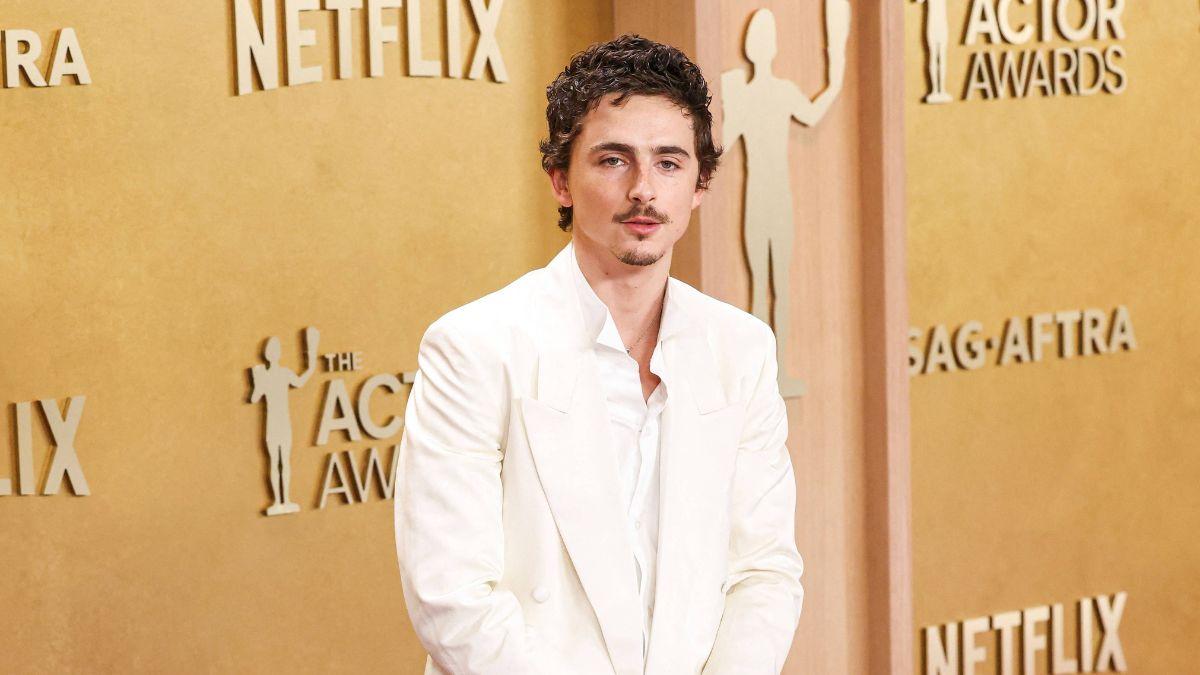 image of Timothée Chalamet