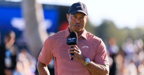 image of tiger woods